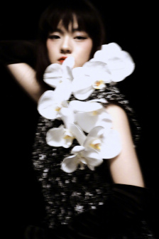 幸福花园免费